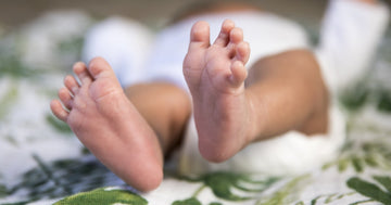 Baby Equipment Rental in Maui