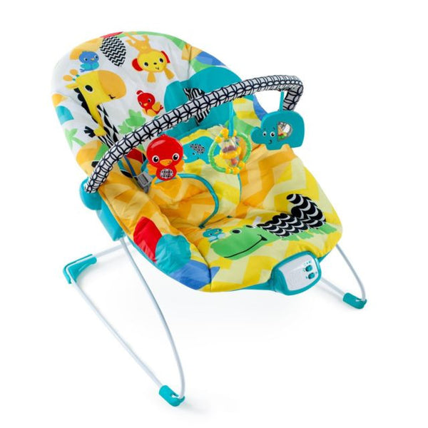 Baby bouncer. Maui Baby rentals