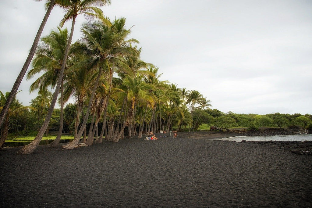 Explore The Fascinating Black Sand Beach On Maui