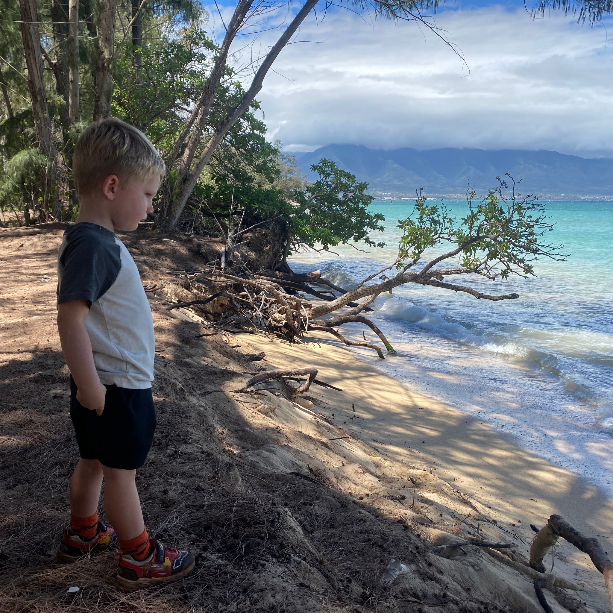 The Ultimate Guide to Maui Baby Rentals: Ensuring Comfort and Convenience for Your Little Ones