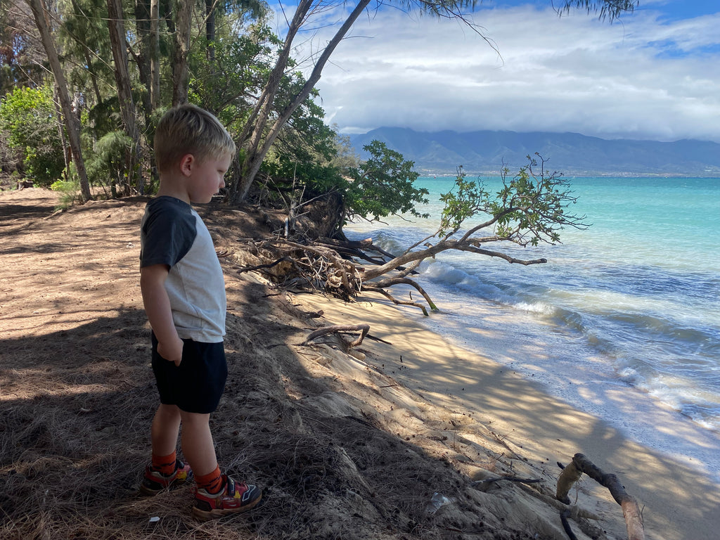 The Ultimate Guide to Maui Baby Rentals: Ensuring Comfort and Convenience for Your Little Ones