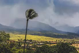 Maui equipment rentals, Maui vacation gear, Maui beach chairs, Maui umbrellas, Maui snorkel gear, Maui watersports equipment, Maui outdoor adventure gear, Maui hiking equipment, Maui camping gear, Maui baby gear rentals, Maui equipment rentals