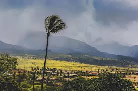 Title: Making the Most of a Windy Day on Maui: Top Activities and Tips