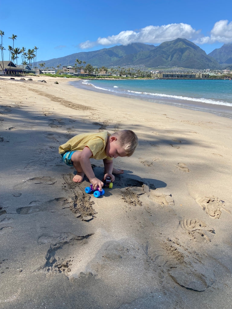 Make the Most of Your Time: Things to Do Around Kahului, Maui Before Your Flight