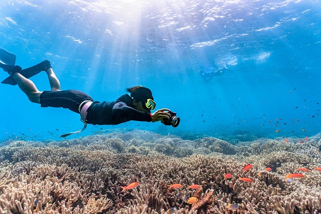 Why Maui Snorkel Rentals Are The Best Options