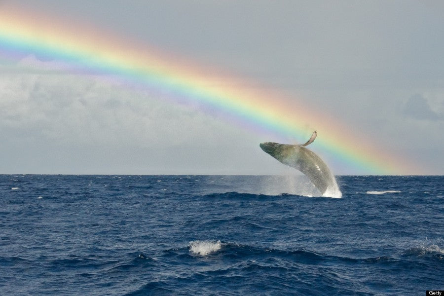 What to do on a rainy day on Maui