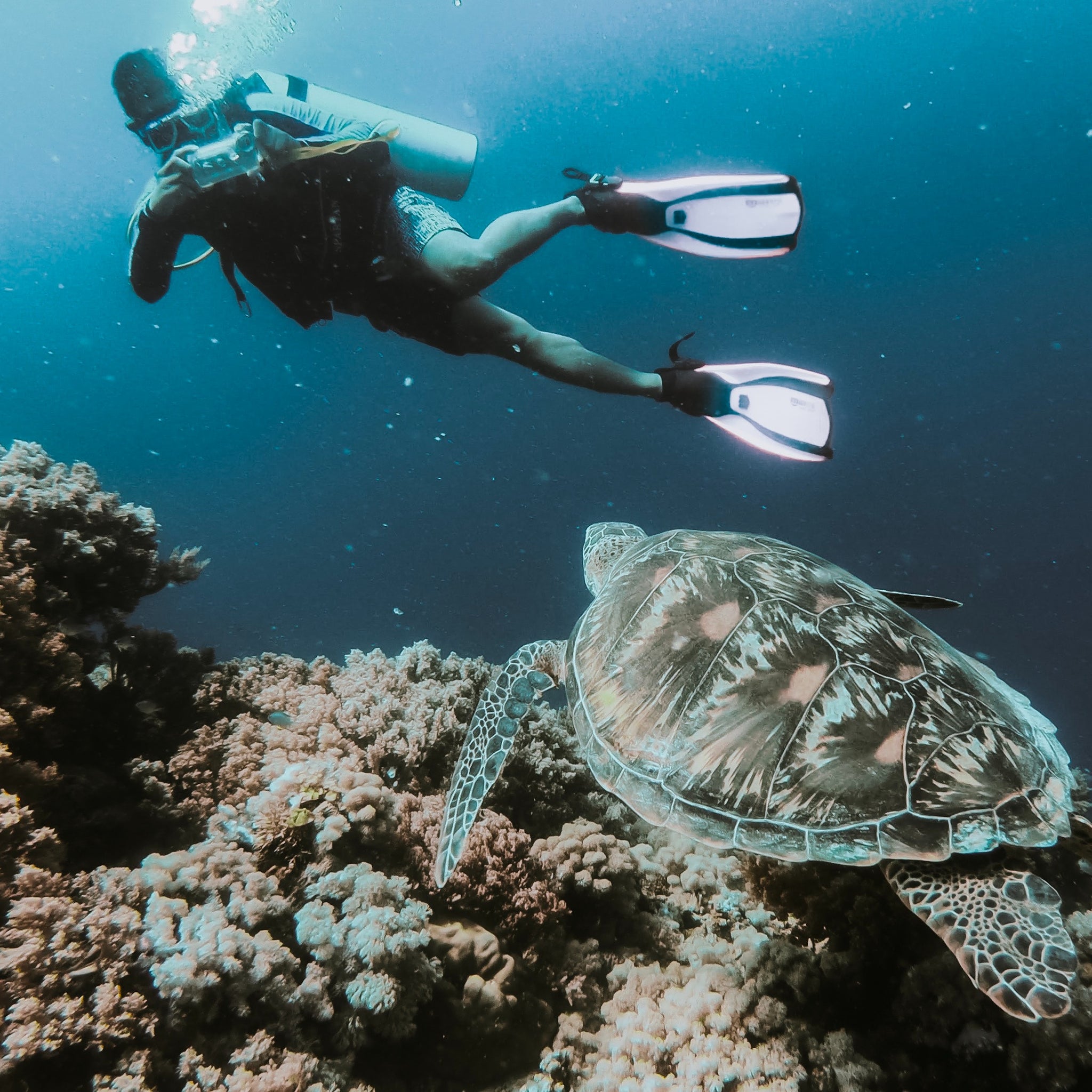 Can You Rent Exercise Equipment on Maui?