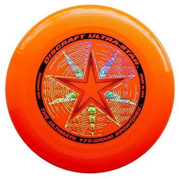 Frisbee rental. maui vacation rental equipment 