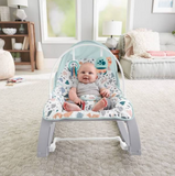 Maui Baby rentals, Maui baby rocker