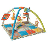 baby rental gear, Maui. playgym for babies. toys 